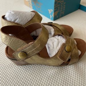 OTBT wedges